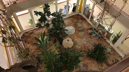 Altenpflege Haus Maihälden