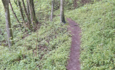 Pflegeheim BRK-Seniorenzentrum Mitterfels