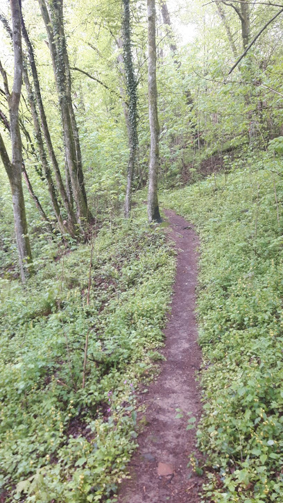 Pflegeheim BRK-Seniorenzentrum Mitterfels