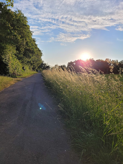 Pflegeheim Heim Schöneck/Sonnenhof