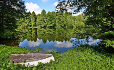 Pflegeheim Pflegeheim Haus Billetal - Seniorenpartner Elisabeth Schulz GmbH & Co.KG