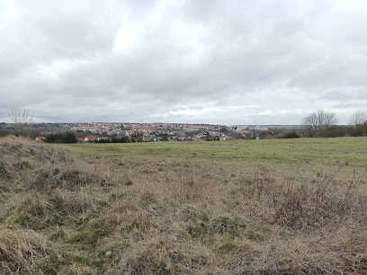 Pflegeheim Wohngemeinschaft Breitscheidstraße