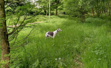 Vincenzhaus Oberhausen 3 Seniorenheim ASO Alteneinrichtungen der Stadt Oberhausen