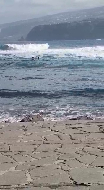 Seniorenheim AWO Kreisverband Sangerhausen e.V. Begegnungszentrum