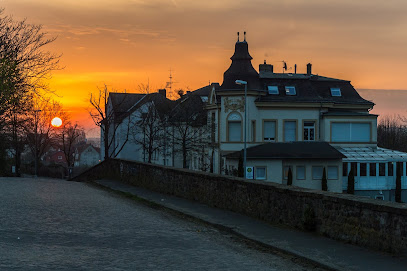 Seniorenheim Haus Rheingold Alten- und Pflegepension