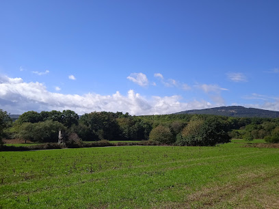 Seniorenheim Seniorenstift Hohenwald