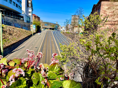 Seniorenheim Wohnstift am Weinberg gGmbH