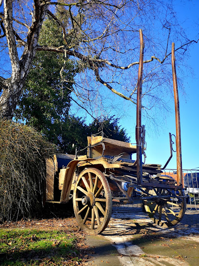 Seniorenzentrum Agaplesion Bethesda Seniorenzentrum Unna Ggmbh